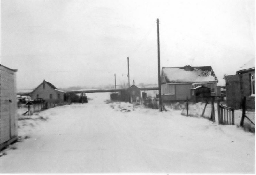 Looking North towards seawall. Castle View bungalow on the left. | George Beecham