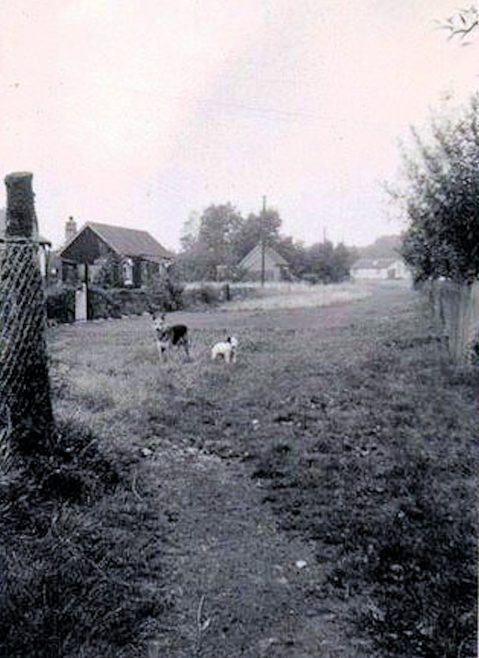 Wamburg Road 1950s