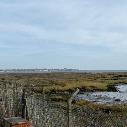 The view from outside towards Southend | © Janet Penn