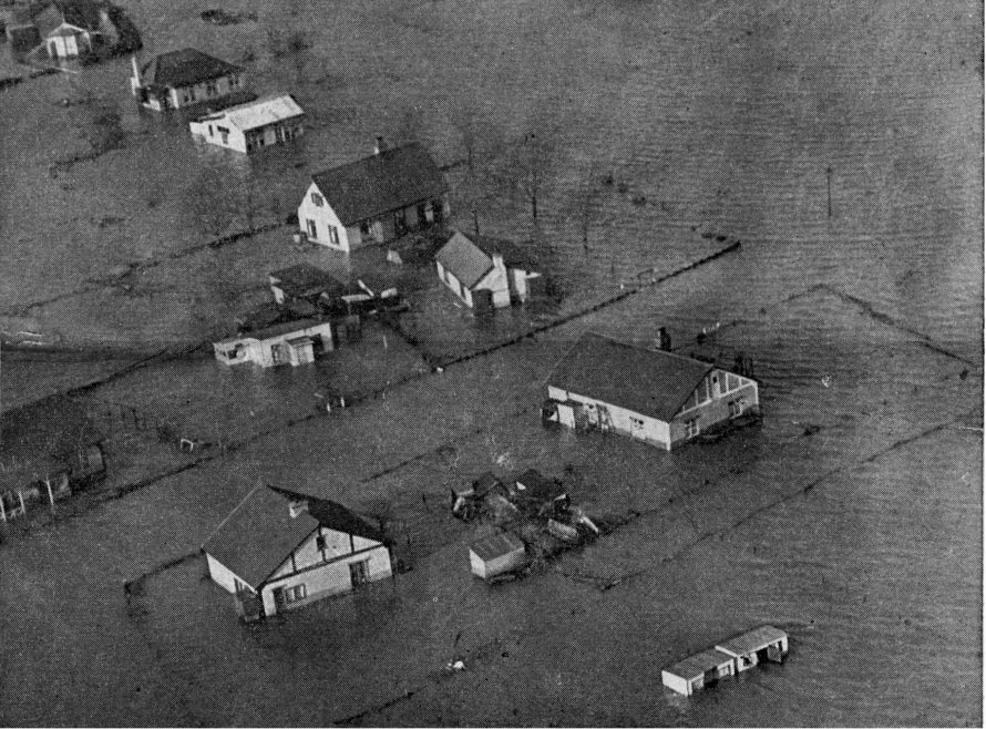 Daylight on Sunday revealed the completeness of Canvey's tragedy. Our picture, taken from the air, shows part of one of the worst-hit areas of the Island—Newlands Estate, where water at the peak of flood-ins reached the eves of the bungalows. But it was not only Newlands which suffered; very few spots on the Island escaped.