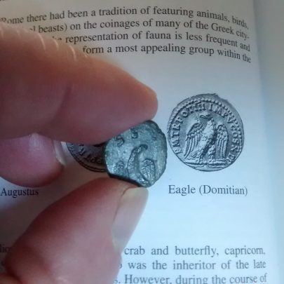 Roman Coin | Gary Foulger