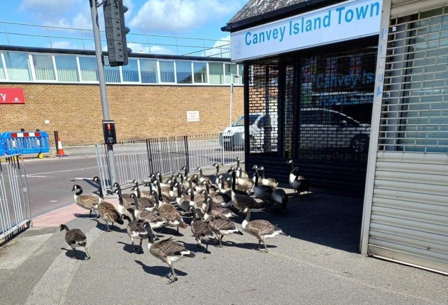 They were seen leaving the Town Council's office after handing in their petition.