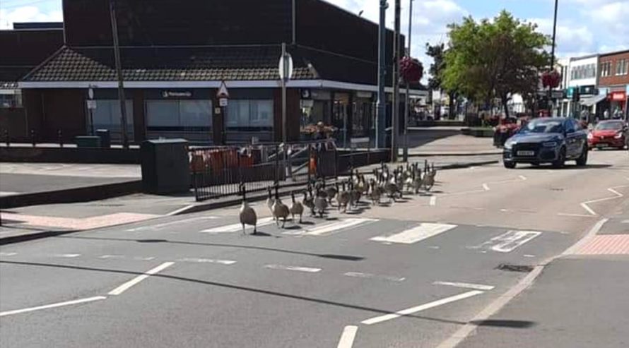 Canvey Town Centre brought to a standstill | Courtesy of Richard Poyntz Estate Agents