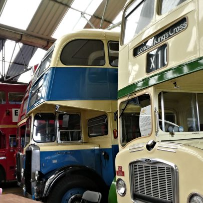 Some of the buses on display