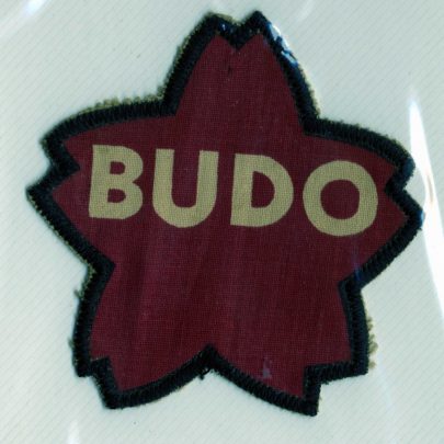 Judo Badges from Michaels Scrapbook