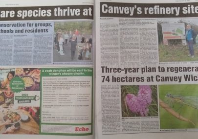 Canvey Wick in the news