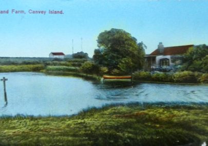 Island Farm Postcard