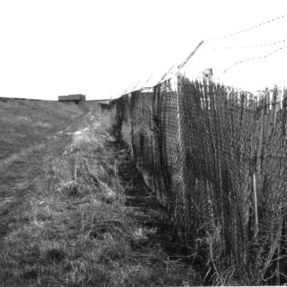 Westward of camp fence