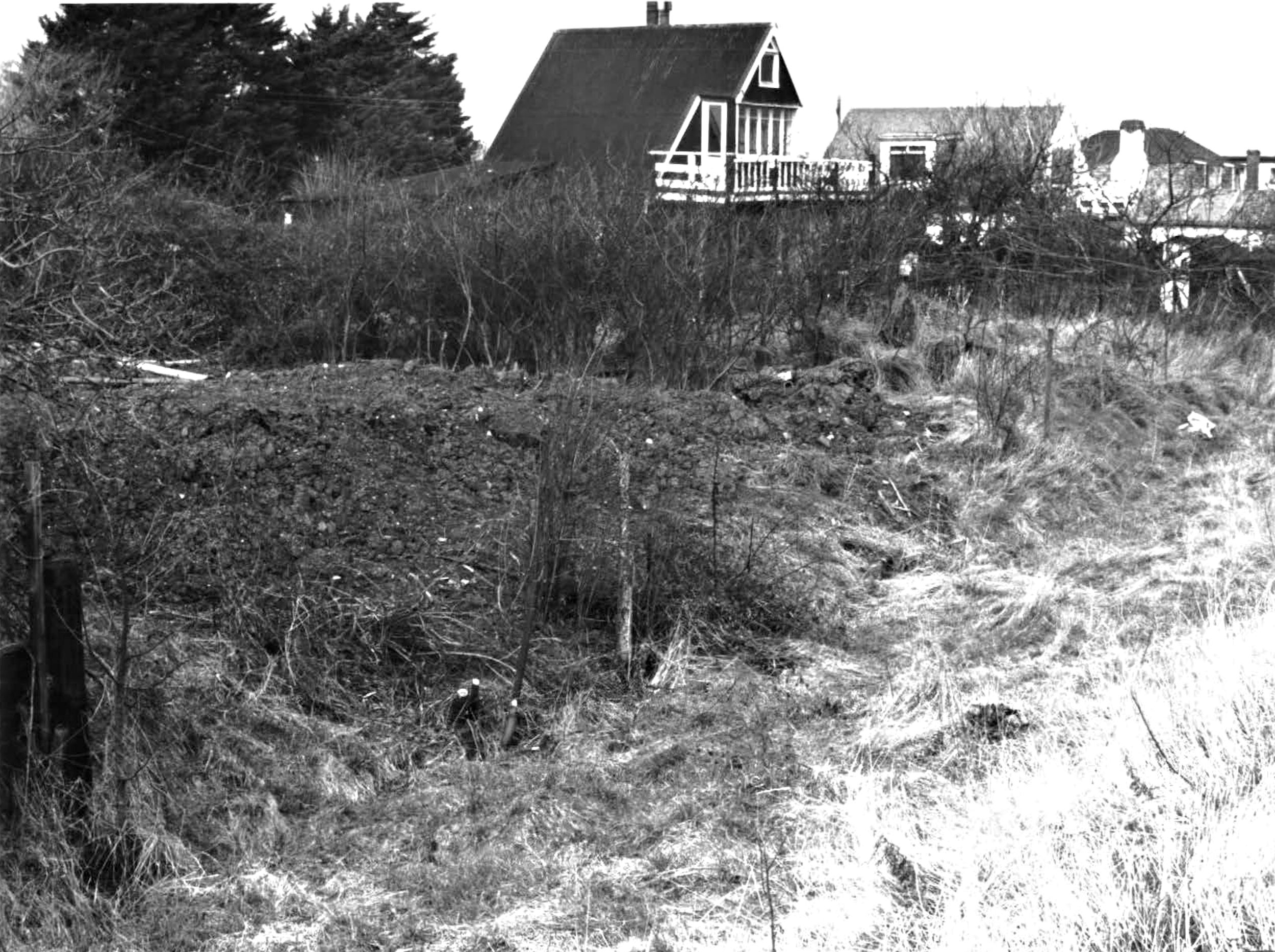 survey-photos-from-1978-beveland-road-area-beveland-road-area