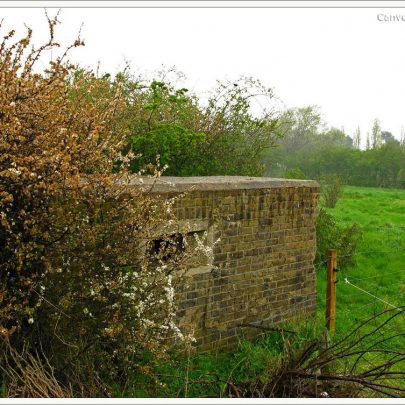 Canvey's last Pillbox in the rain | (c) David Bullock