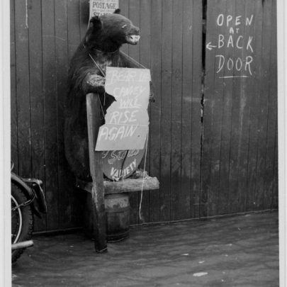 The famous bear at Jones - 'Bear Up - Canvey will rise again'
