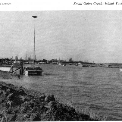 Small Gains Creek, 1963 | Jackson's Photo Service