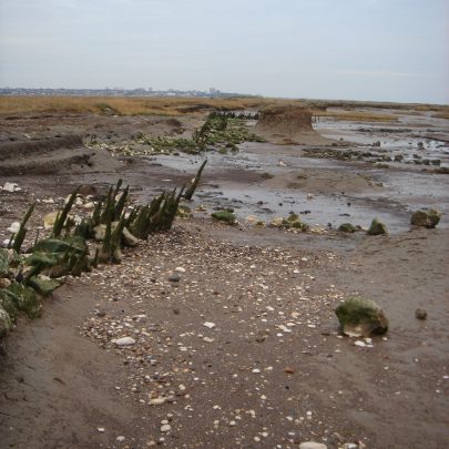 Leighbeck Point - the remains of the tidal path?