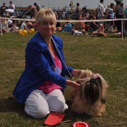 Festival and Dog Show