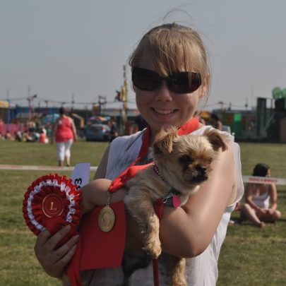 Festival and Dog Show