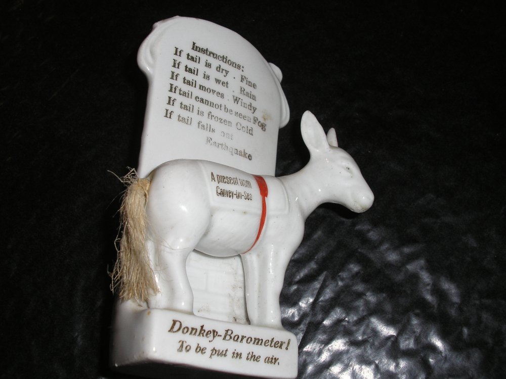 A Multitude of Souvenirs Gifts and Souvenirs