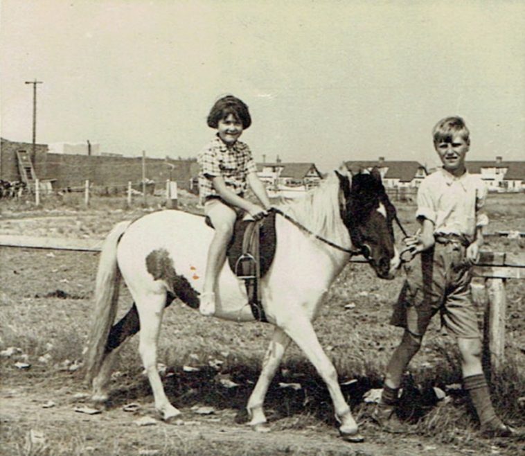 Billy Wells' Pony Rides