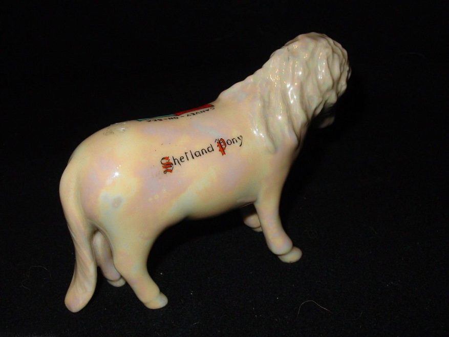 Shetland Pony Souvenir