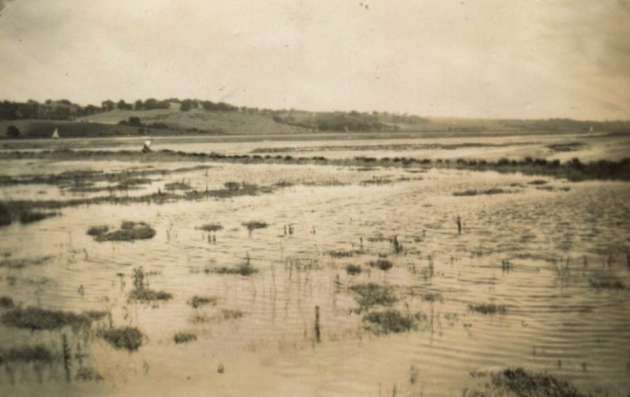 Flooded Marshes