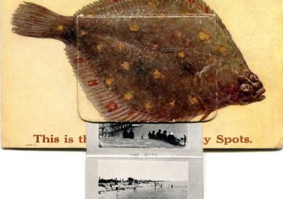 J Salmon Ltd Postcard c1927