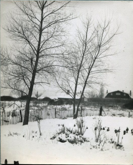 Wintry Wintergardens 1940s