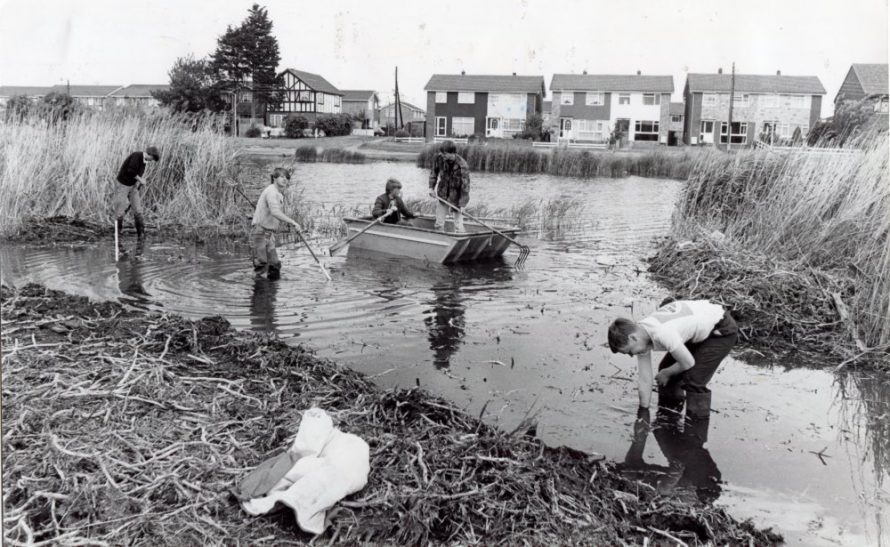 Clearing out the Lake | Echo Newspaper Group
