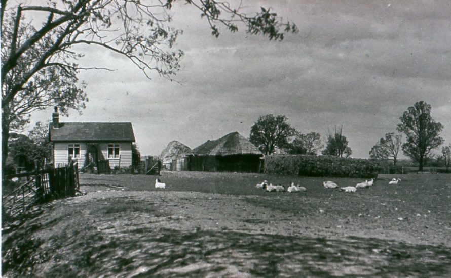 Little Russell Head Farm | Horace Read