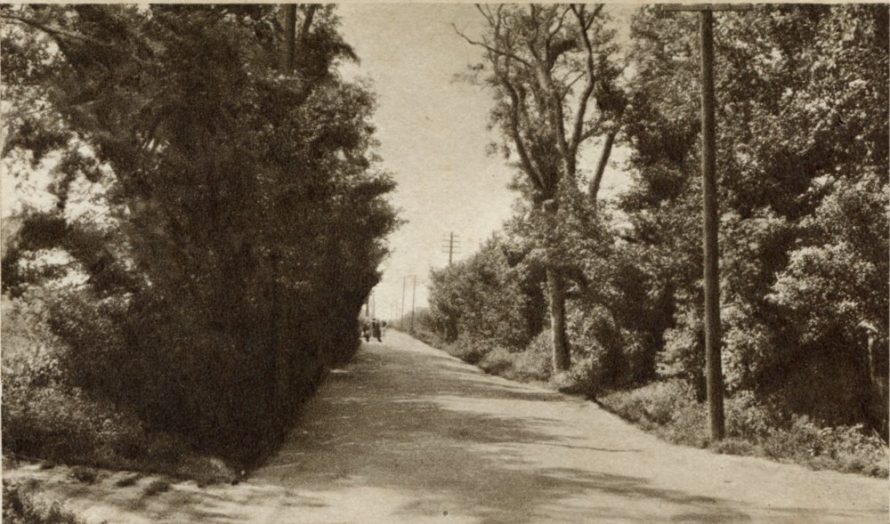 Furtherwick Road